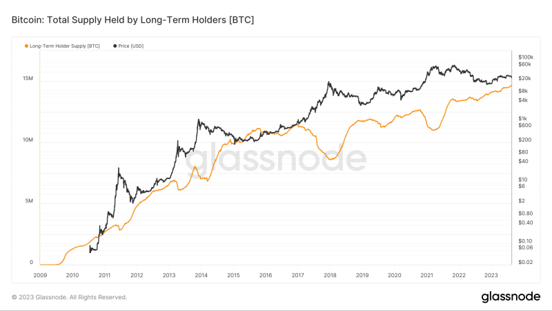 Bitcoin: Analyzing how the next halving might affect BTC