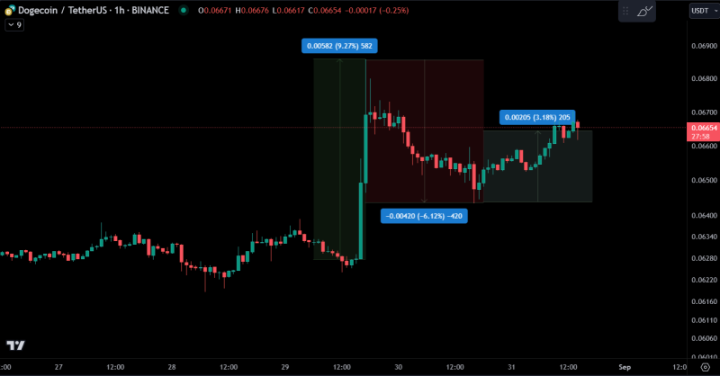 
Elon Musk’s Money Transmitter License: A Game-Changer for Dogecoin (DOGE) Price?
