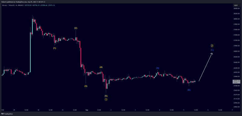 Bitcoin - The next crash is coming! But first, bullish action.