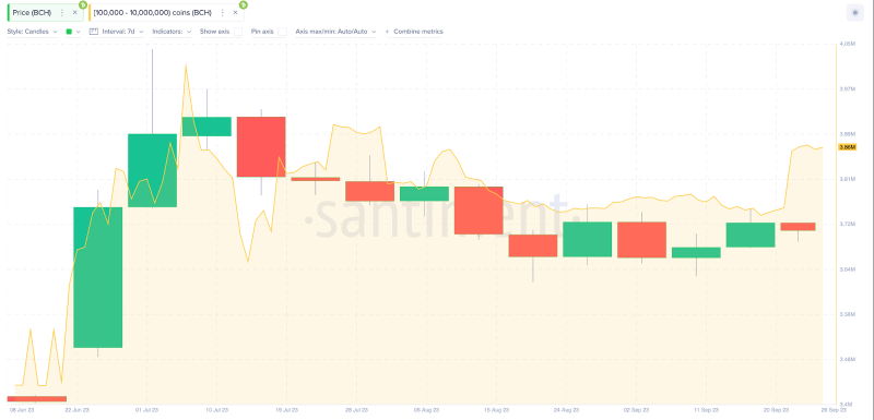 
Bitcoin Cash (BCH) Hodlers: 96% Now Committed for the Long Haul – Is $300 Next?
