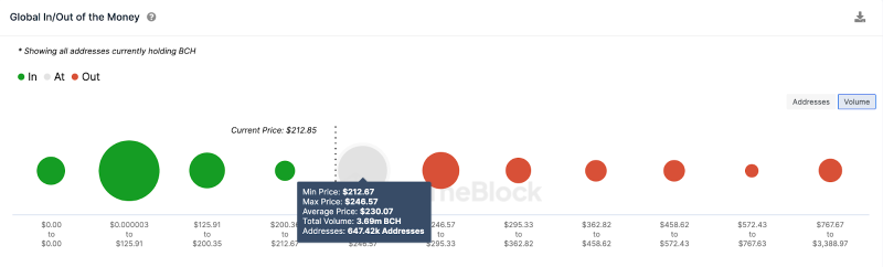 
Bitcoin Cash (BCH) Hodlers: 96% Now Committed for the Long Haul – Is $300 Next?
