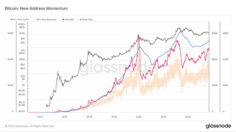 Bitcoin network goes silent in 2023