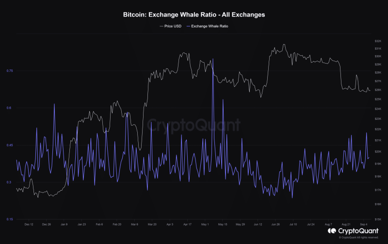 Bitcoin network goes silent in 2023