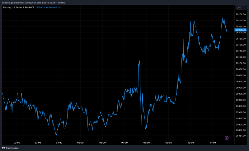 Bitcoin Wallet Activity Touches 5-Month High, Will BTC Price Follow?