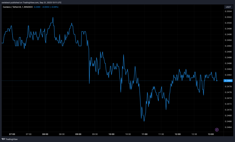 Is Cardano (ADA) The Worst Investment Of 2023? Here’s What The Data Says