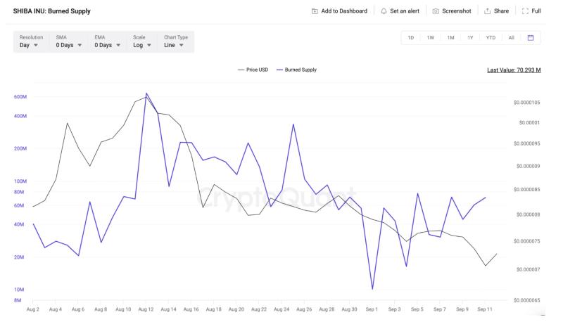 
Shiba Inu Token Burn Spikes 700% – Here’s How SHIB Price Could React 
