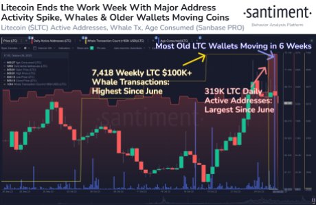 Litecoin Whales Are Back In The Game, Can Price Reach $100?