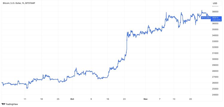 Bitcoin Surged by Over 40% For This Fall. What Are the Reasons?