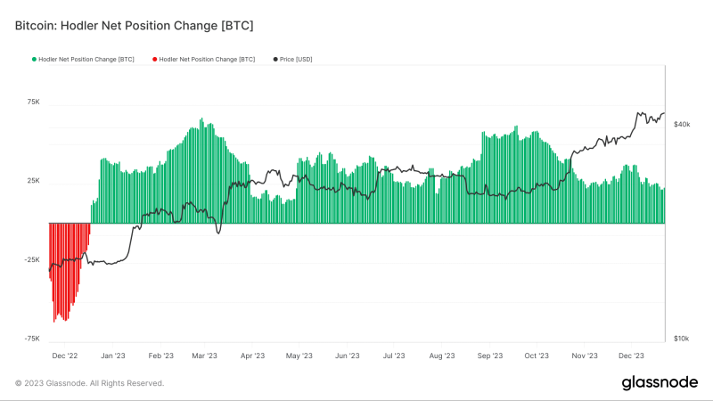 What Bitcoin HODLers are up to as BTC targets $45K