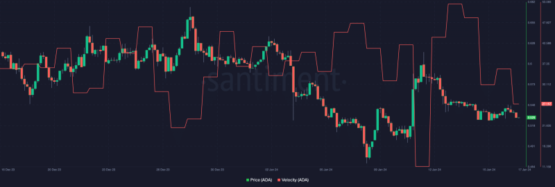 Cardano finishes 1st on this front, but what about ADA?