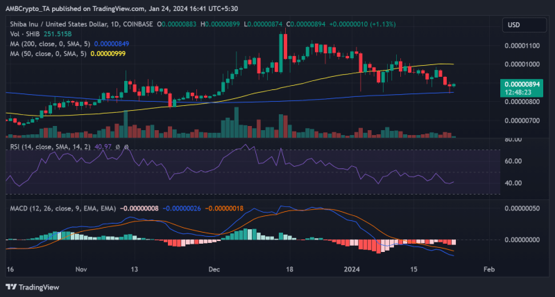 SHIB recovers slightly, but can it recover even more?