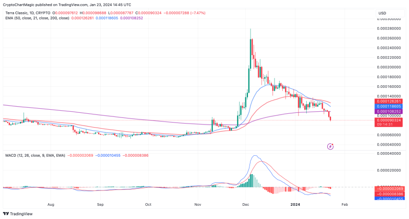 Which Top Altcoin To Buy For The Bull Run Today: LINK, SHIB, LUNC?