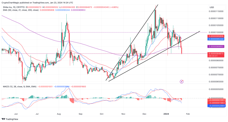 Which Top Altcoin To Buy For The Bull Run Today: LINK, SHIB, LUNC?