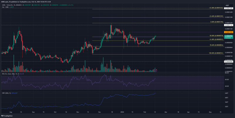 Shiba Inu: A look at what February holds for SHIB traders