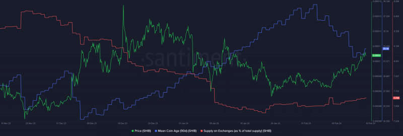 Shiba Inu: A look at what February holds for SHIB traders