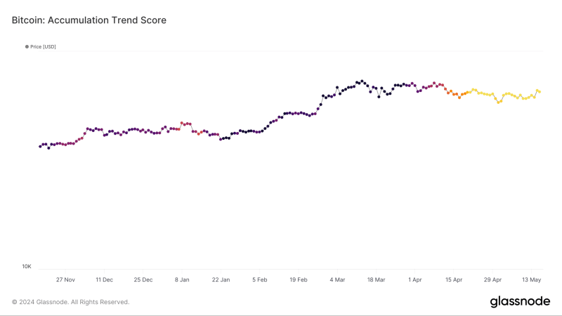 Bitcoin’s rally comes to a halt – Examining the effects of this sell signal