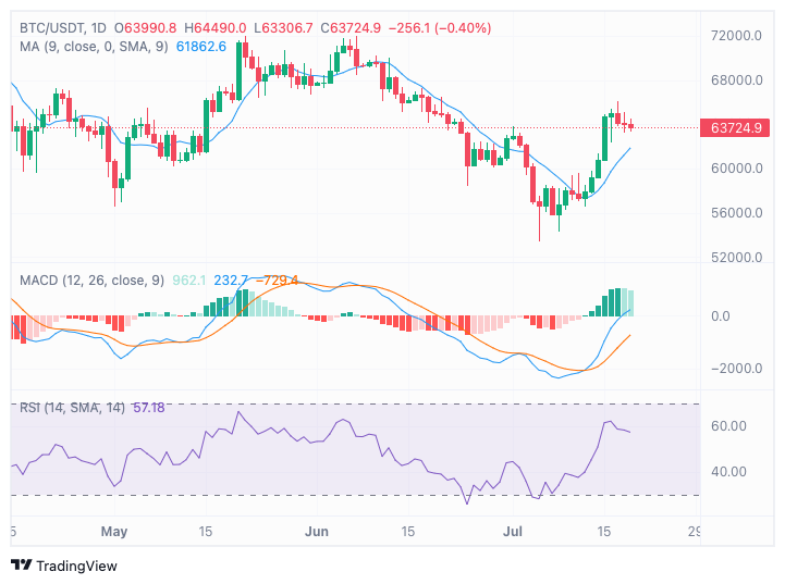 Bitcoin: $107K now, $50K after? Analysts weigh in on BTC’s future