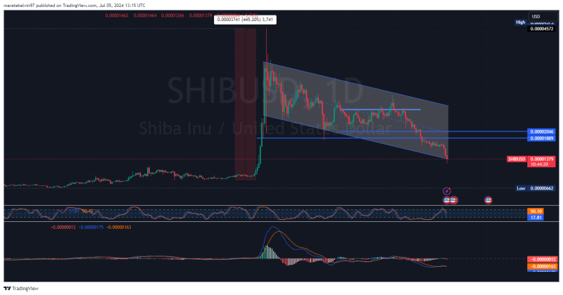 Shiba Inu’s price volatility – SHIB can hit these levels IF…