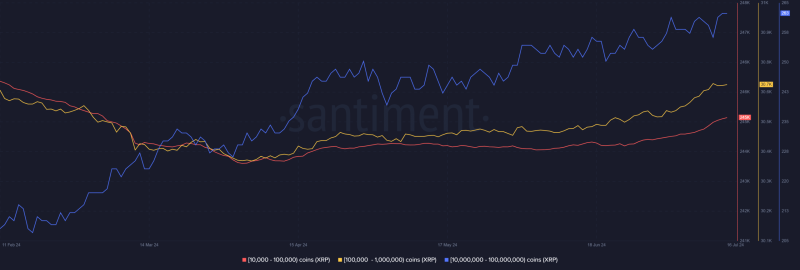 XRP whales on a buying spree: What’s behind this movement?