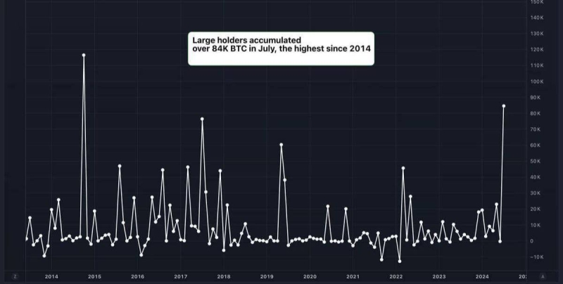 Whales snag 84,000 Bitcoin in July: Here’s how it affects you!