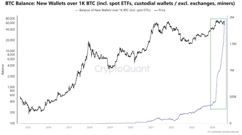 Will Bitcoin’s $50K support hold? Analysts weigh in!