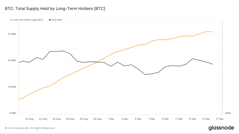 Bitcoin exchange deposits plummet to six-year low – What it means for BTC