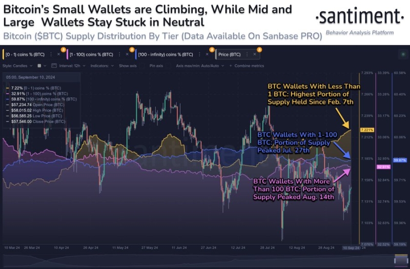 Can Bitcoin rally? Analysts point to 3 critical market conditions