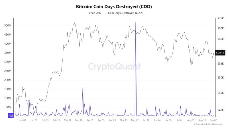 One reason why Bitcoin’s March 2024 ATH WON’T stand for too long