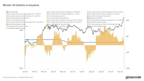 Bitcoin 'Shrimps' Buying the Historic Rally as Whales Offload: Van Straten