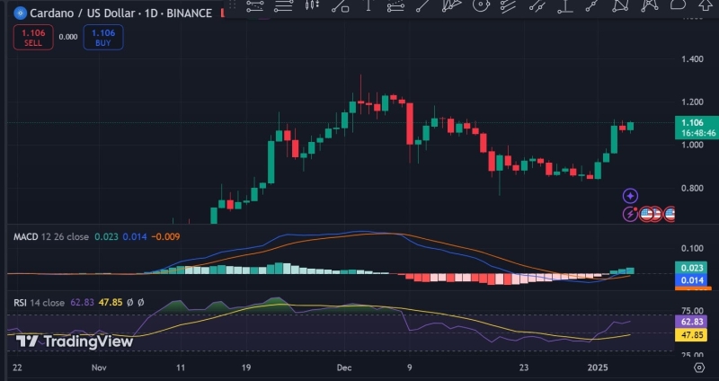 Breaking down Cardano whales’ 40 million move and impact on ADA