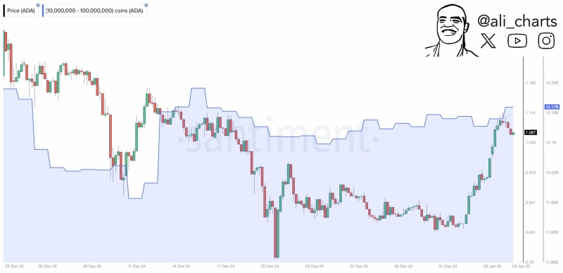 Breaking down Cardano whales’ 40 million move and impact on ADA