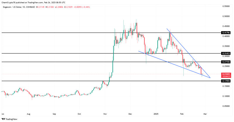 Dogecoin’s decline: Can DOGE recover from its 95% drop in activity?