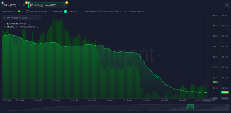 How Bitcoin’s whales, sharks can take advantage of ‘oversensitive’ retailers