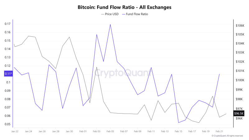 How Bitcoin’s whales, sharks can take advantage of ‘oversensitive’ retailers