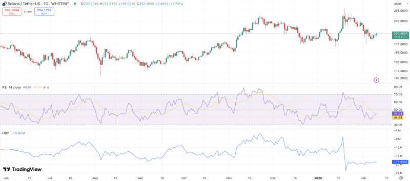 Solana: How whales helped SOL hold $200 – What’s next?