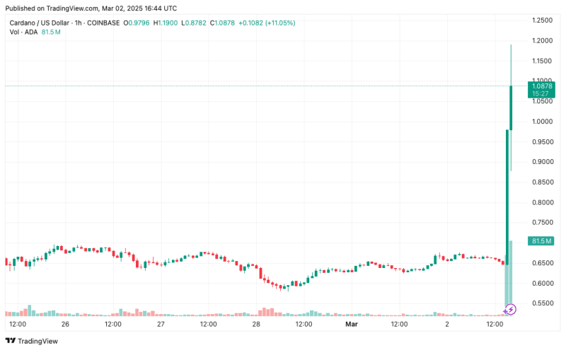 Flash Rise: Cardano (ADA), XRP, Solana (SOL) gain in double digits after President Trump’s post